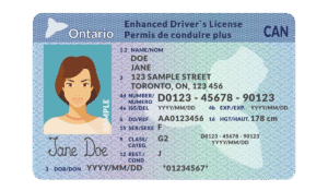 canadian driver s license